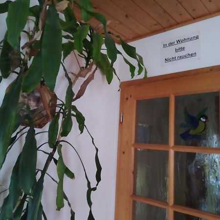 Ferienwohnung Steinbauer Opfenbach エクステリア 写真