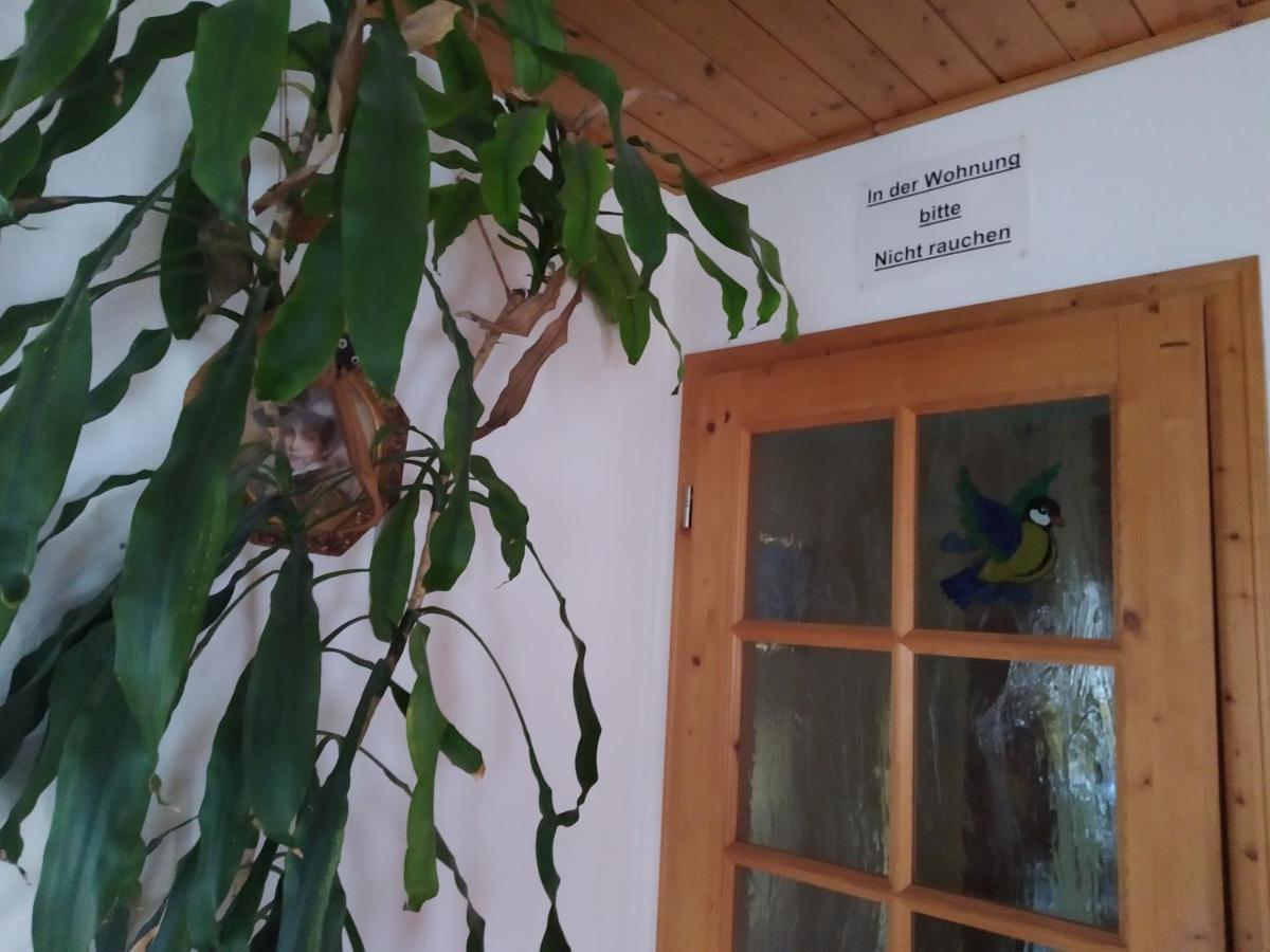 Ferienwohnung Steinbauer Opfenbach エクステリア 写真
